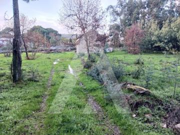 Terreno para Construção
