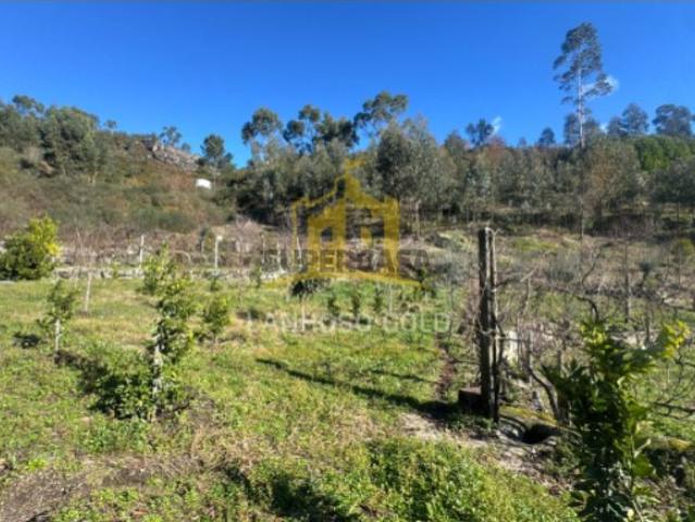 Terreno para Construção