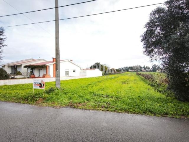 Terreno com 3.770 m² e Duas Frentes | Potencial para 2 Moradias