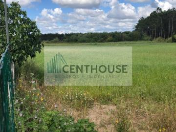 Terreno para Construção | 4432 m² | Pereirões