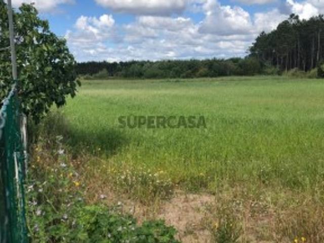 Terreno para Construção | 4432 m² | Pereirões