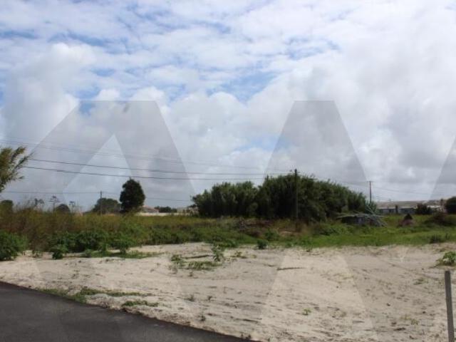 Terreno para Construção 495,5 m² Quintas do Sul, Torreira | Entre a Ria e o Mar