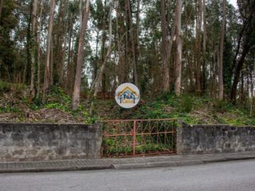 Caldas de São Jorge e Pigeiros - Segurança