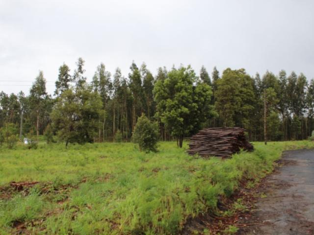 Terreno para construção
