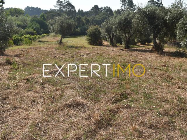 Terreno para Construção