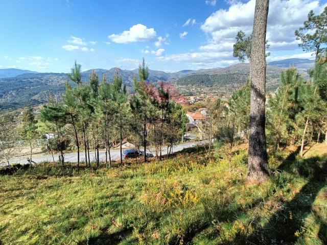 Terreno para Construção