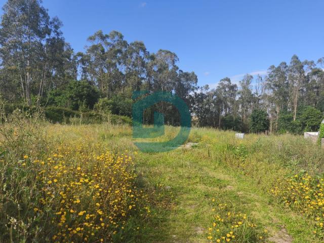 Terreno para construção
