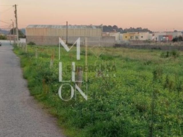 Terreno para Construção 5.000 m² | Frente de 100 m | Praia da Madalena, Vila Nova de Gaia