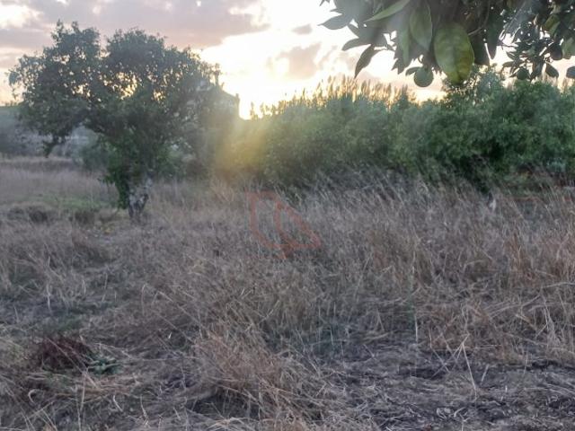 Terreno para construção