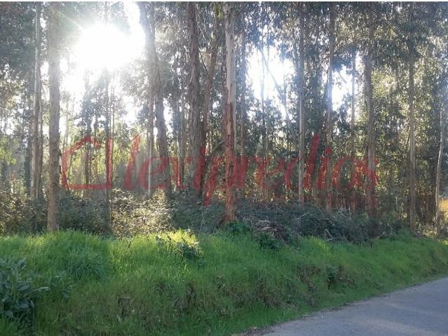 Terreno para construção