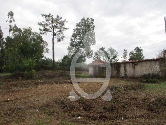 Terreno para Construção