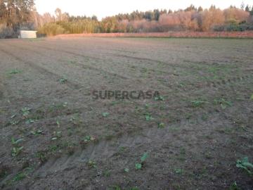 Terreno para Construção