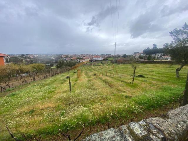 Terreno para Construção