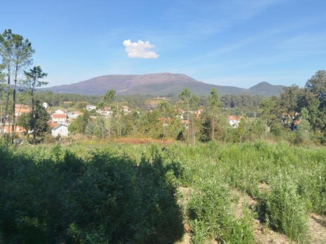 Terreno para construção