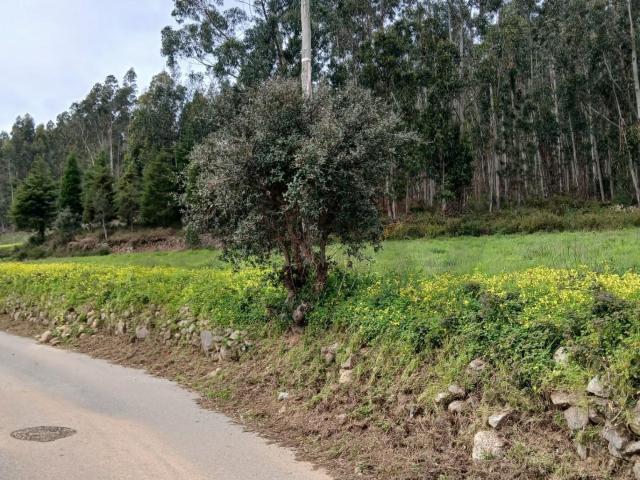 Terreno para Contrução na Mata de São Pedro