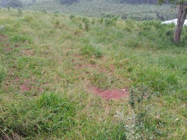 Terreno para chácara dentro da cidade