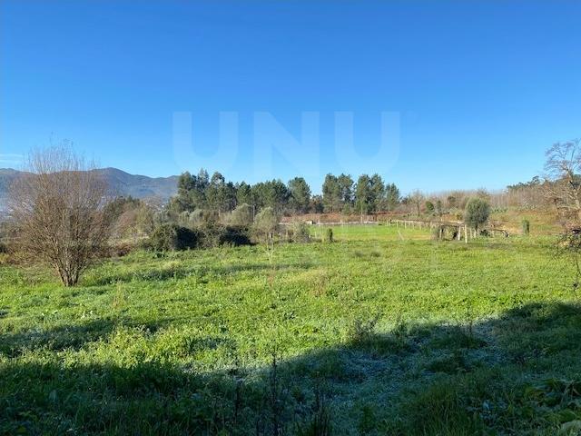 Terreno para Cultivo