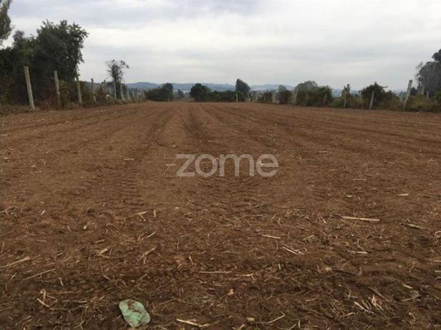 Terreno para Cultivo