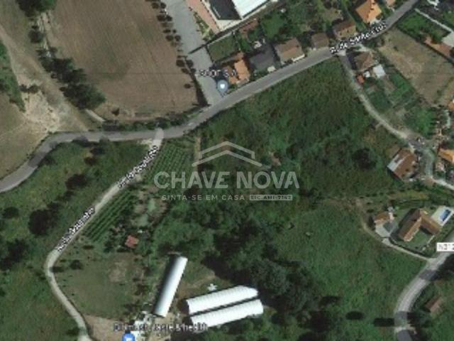 Terreno para cultivo de oliveiras, fruteiras e videiras