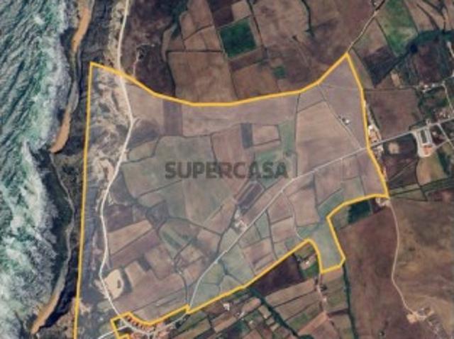 Terreno Para Agricultura em Torres Vedras