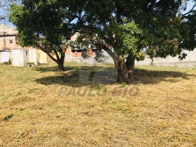 Terreno para aluguel em Paulicéia