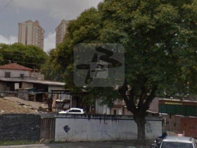 Terreno para aluguel no Centro
