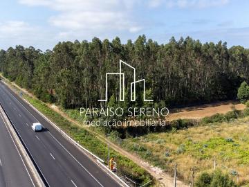 Terreno para Arrendar