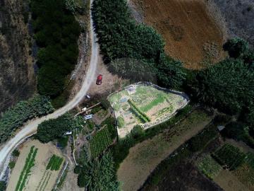 Terreno para arrendar em Cortesia