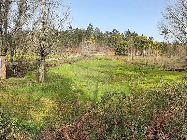 Terreno para arrendar em Barreiro de Besteiros e Tourigo, Tondela RE/MAX Portugal