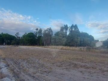 Terreno para arrendar em Grândola