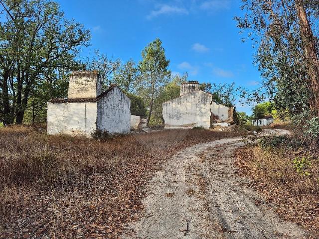 Terreno para arrendar em Montargil, Ponte de Sor RE/MAX Portugal