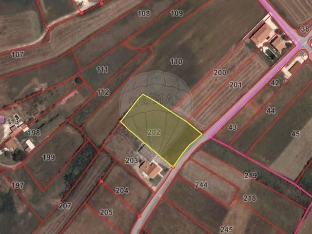 Terreno para arrendar em São João das Lampas e Terrugem, Sintra RE/MAX Portugal