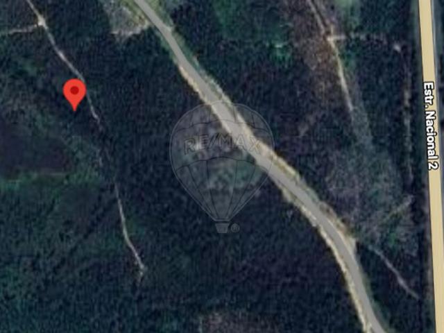 Terreno para arrendar em Sardoal, Sardoal RE/MAX Portugal