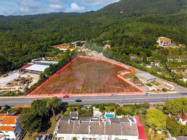 Terreno para arrendar em Sintra Santa Maria e São Miguel, São Martinho e São Pedro de Penaferrim, Sintra RE/MAX Portugal