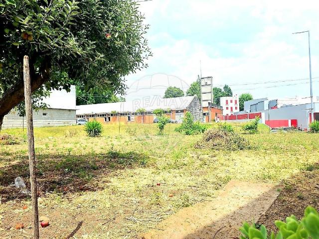 Terreno para arrendar em Paços de Ferreira, Paços de Ferreira RE/MAX Portugal