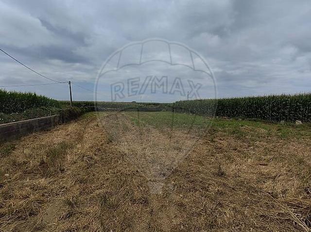Terreno para arrendar em Perafita, Lavra e Santa Cruz do Bispo, Matosinhos RE/MAX Portugal