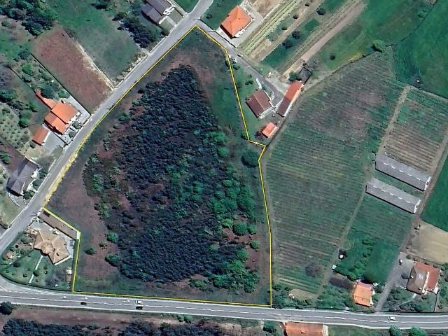Terreno para arrendar em Vilar de Besteiros e Mosteiro de Fráguas, Tondela RE/MAX Portugal