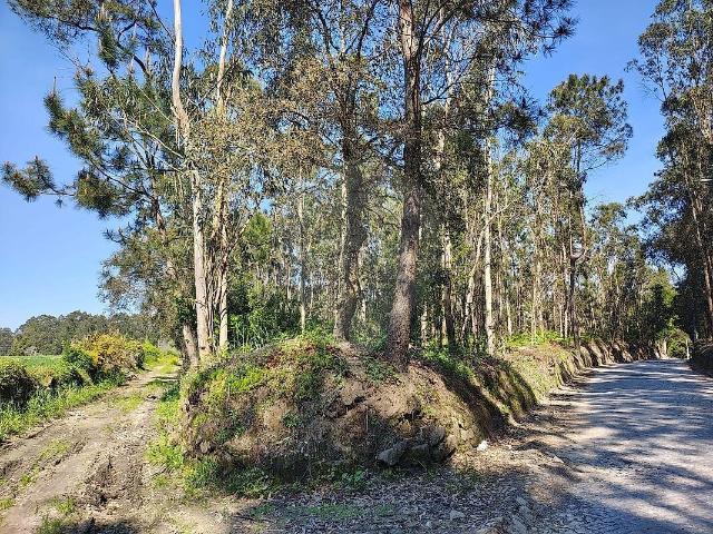 Terreno para arrendar em Vilar e Mosteiró, Vila do Conde RE/MAX Portugal