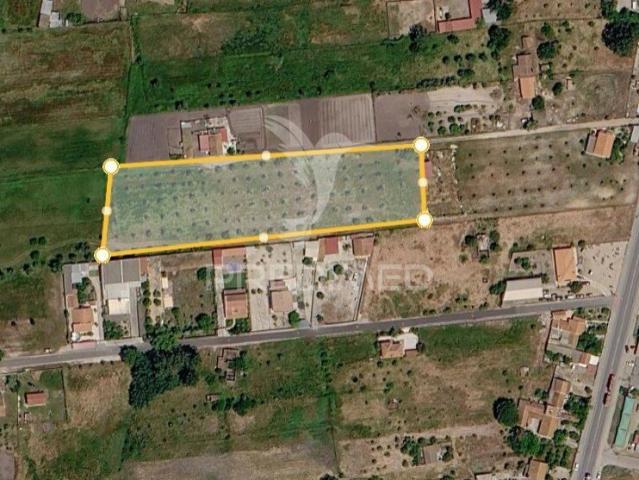 Terreno para Arrendar Ideal para Estaleiro ou exposição