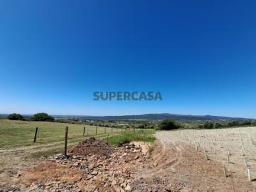 TERRENO PARA EMPREENDIMENTO TURÍSTICO EM BORBA UMA OPORTUNIDADE DE INVESTIMENTO IMPERDÍVEL