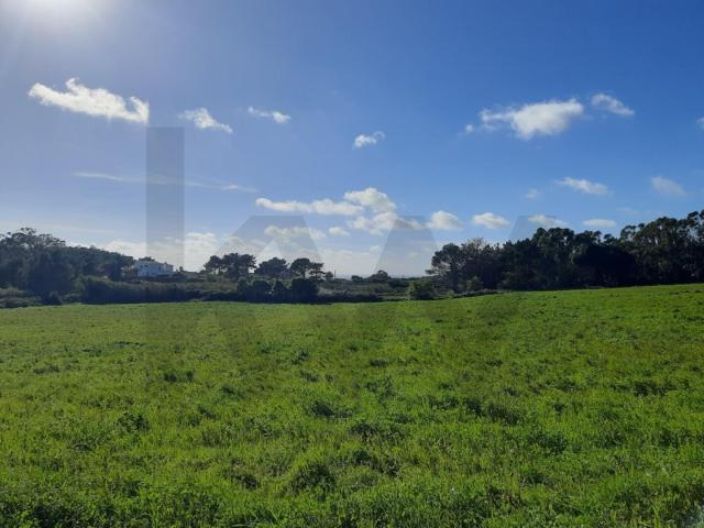 Terreno para Empreendimento Turístico | Ericeira | 18.180 m² | PIP em Fase Final de Aprovação