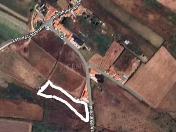 Terreno para exploração agrícola