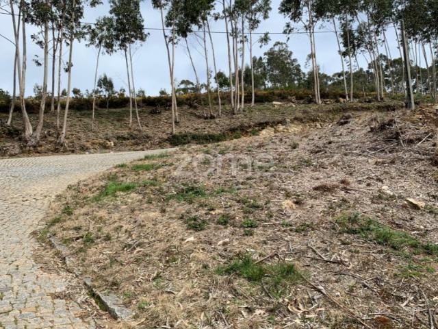 Terreno para exploração florestal e agrícola Santa Justa, Valongo