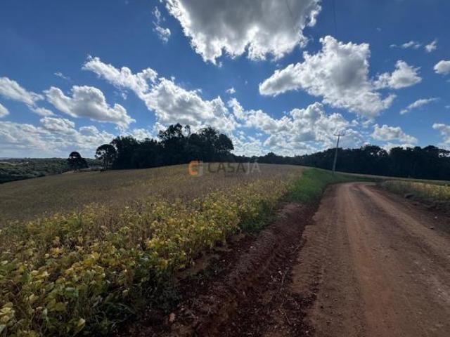 TERRENO PARA FORMAÇÃO DE CHÁCARA / PLANTIO COLÔNIA BALBINO CUNHA