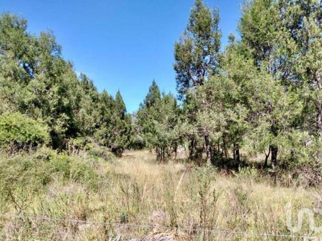 Terreno para fraccionamiento o centro comercial frente a Cd Judicial Tlaxcala