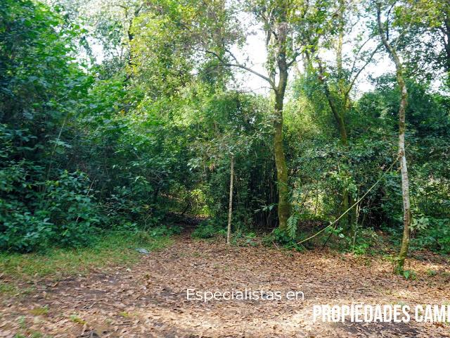 Terreno para inversi?n sobre Carr. M?xico Tuxpan en Xicotepec de Ju?rez