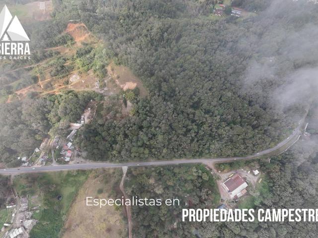 Terreno para inversi?n sobre Carr. M?xico Tuxpan en Xicotepec de Ju?rez