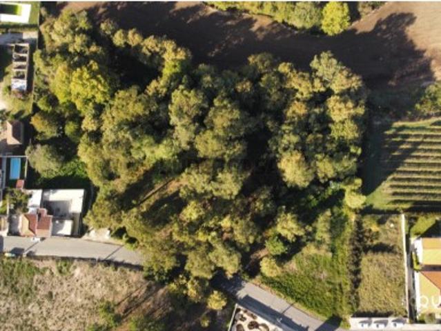 TERRENO PARA INVESTIMENTO NO CENTRO DE PAREDES 7.800 m2 POR 375.000 €