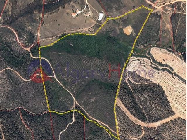 Terreno Exclusivo em Aljezur com Elevado Potencial de Construção e Turismo