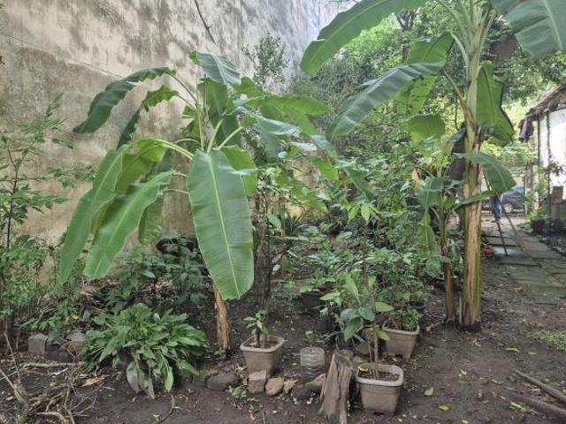 Terreno para investidores